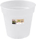 Elho green basics orchidee 13cm - transparant