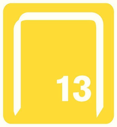 Rapid nr 13 fijndraadnieten - 4 mm (2500 stuks)