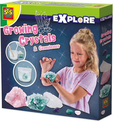 Ses creative ses groeiende kristallen en edelstenen