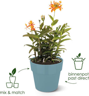 Elho b.for original rond 25 - bloempot voor binnen - 100% gerecycled plastic - ø 24.7 x h 23.2 cm - living black