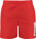 Puma swim men mid shorts mannen 1p - maat l