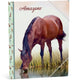 Amazone elastomap a4 - bruin paard