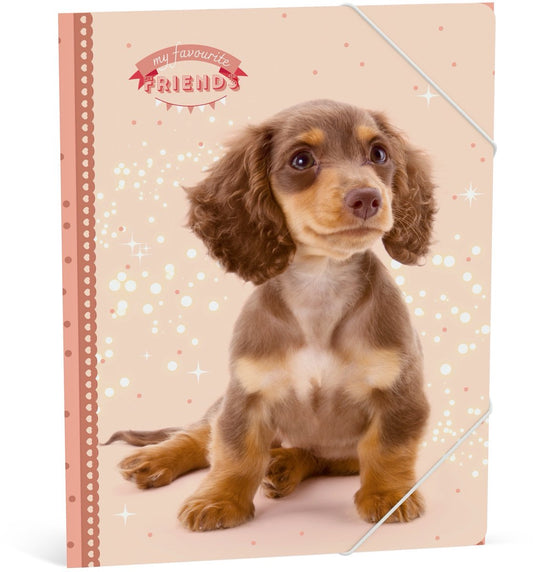 My favourite friends elastomap - hond