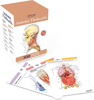 Kaplan anatomy flashcards: 300 flashcards with anatomically precise drawings and exhaustive descriptions
