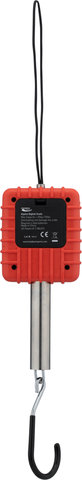 Feedback sports alpine digital scale