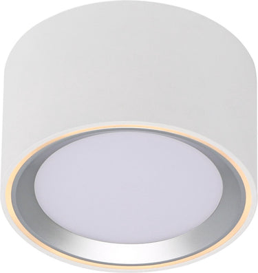 Nordlux fallon surface-downlight-3 step moodmaker™ dimming-wit staal