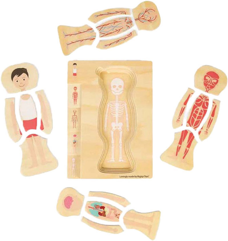Load image into Gallery viewer, Bigjigs houten anatomiepuzzel - jongen, 26st.
