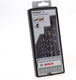 Bosch robust line silver percussion betonborenset - 7-delig