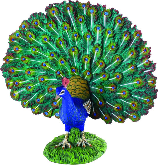 Collecta figurine - pauw - (l) - boerderijdieren - handgeschilderd - miniatuur