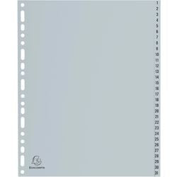 Tabbladen exacompta 1-31 grijs