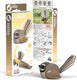 Eugy 3d puzzel - fantail - vogels - duurzaam - verzamel ze allemaal - 6 jaar