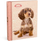 My favourite friends ringband a4 - hond - 23 ringen