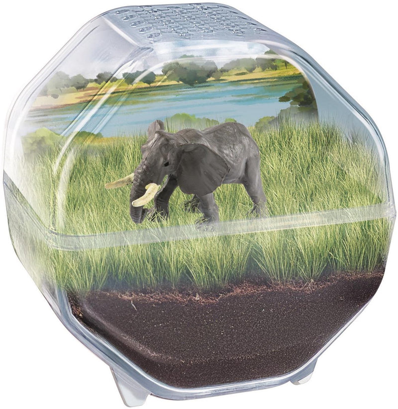 Load image into Gallery viewer, Clementoni wetenschap spel my wild terrarium - olifant
