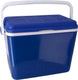 Gerimport koelbox 42 liter 35 x 55 x 39 cm blauw wit