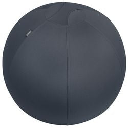 Zitbal leitz ergo cosy 5279