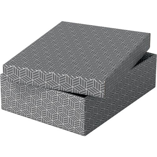 Esselte opbergdoos 628285 medium plat 9 l grijs