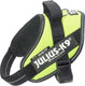Julius k9 julius-k9 idc powertuig - hondentuig - s - mini - neon