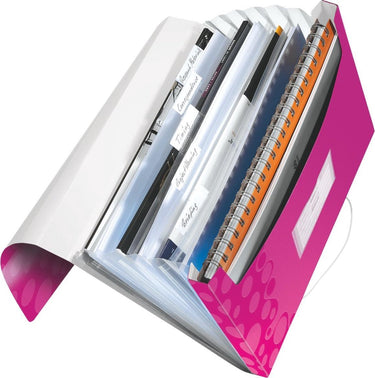 Leitz wow projectmap pp - met 6 vakken - roze