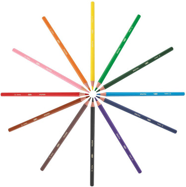 Bic kleurpotloden ecolutions evolution 144 stuks - duurzaam kleurplezier.