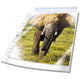 Showtassen durable 265819 transparant