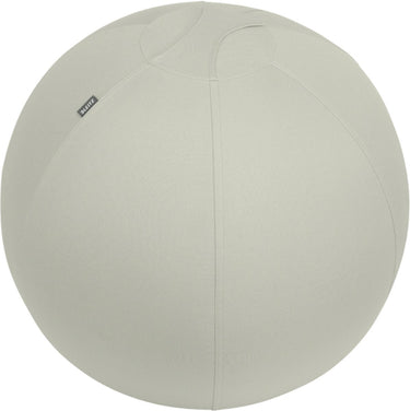 Leitz ergo actieve zitbal - anti-rol design - 65cm - lichtgrijs