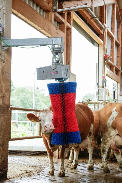 Load image into Gallery viewer, Happycow koeborstel maxiswing
