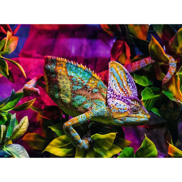 Ravensburger puzzel chameleon 500 stukjes