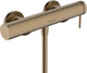 Hansgrohe tecturis s - douchekraan - opbouw - ééngreeps bediening - brushed bronze