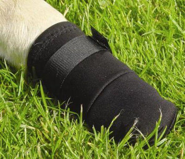 Beeztees hond beschermingsschoenen l - hondensokken - pootbeschermer - zwart - 2st - 18,5x8,5x8,5 cm