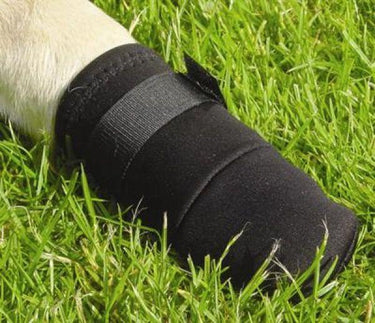 Beeztees hond beschermingsschoenen m - hondensokken - pootbeschermer - zwart - 2st - 18x7x8 cm