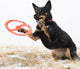 Bionic toss-n-tug ring 23cm oranje