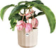 Elho facet rond 17cm - bloempot voor binnen - 100% gerecycled plastic - ø 16.6 x h 14.9 cm - amandelroze