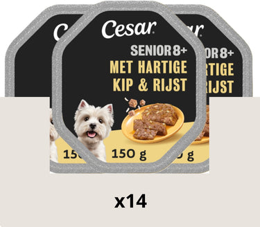 Cesar hondenvoer - senior 10+ - kip en rijst in gelei - 14x150g