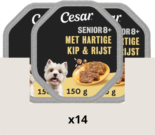 Cesar hondenvoer - senior 10+ - kip en rijst in gelei - 14x150g