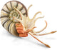Collecta figurine - pleuroceras ammoniet - (xl) - prehistorie - handgeschilderd - miniatuur