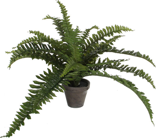 Mica decorations boston varen kunstplant kamerplant - groen - in pot - h35 cm x d45 cm
