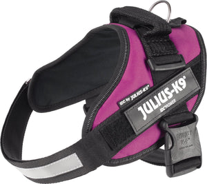 Julius k9 julius-k9 idc®powertuig, m - maat 0, donkerroze