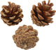 Creativ company dennenappels - natuurlijk materiaal - 500 gr