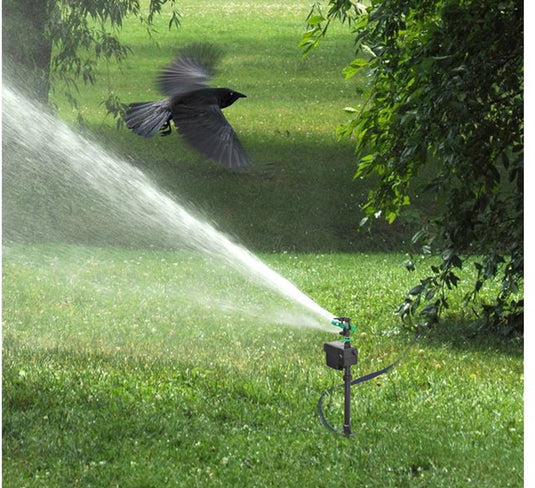 Splash watersproeier lieveheersbeestje