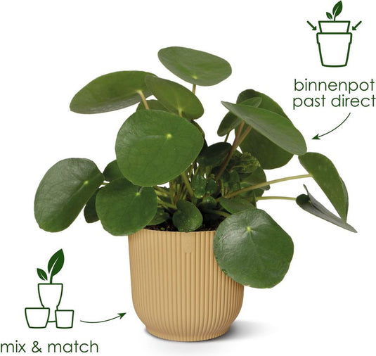 Elho vibes fold rond 18 - bloempot voor binnen - 100% gerecycled plastic - ø 18.4 x h 16.8 cm - delicaat roze