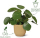 Elho vibes fold rond 18 - bloempot voor binnen - 100% gerecycled plastic - ø 18.4 x h 16.8 cm - delicaat roze
