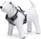 Beeztees safety gear parinca premium y-tuig - hondentuig - led - nylon - zwart - 38-51 cm x 15 mm