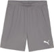 Puma teamgoal shorts heren sportbroek - cast iron- white