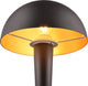 Rl live your light reality canaria - tafellamp - zwart-goud - incl. 1x e14 4,9 w - wandmontage - niet dimbaar