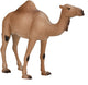 Mojo wildlife arabische kameel - 387113