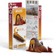 Eugy 3d puzzel - walrus - zeedieren - duurzaam - verzamel ze allemaal - 6 jaar