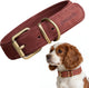 Peluvio rexor – leren hondenhalsband – bruin – s-m 30,5-38 cm – 3 cm breed – verstelbare halsband van rundleer – koperen gesp – voor kleine en middelgrote honden
