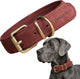 Peluvio rexor – leren hondenhalsband – bruin – l-xl 53-63 cm – 4 cm breed – verstelbare halsband van rundleer – koperen gesp – voor zeer grote honden