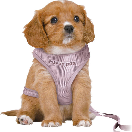 Trixie - hondentuig - junior - puppy softtuig - met riem - lila - 36-50x1 cm 2 m