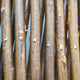 Nature - houten klimrek (natuurlijk wilgenhout) - 60 x 180cm - fsc